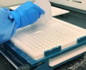 To show the compounding process